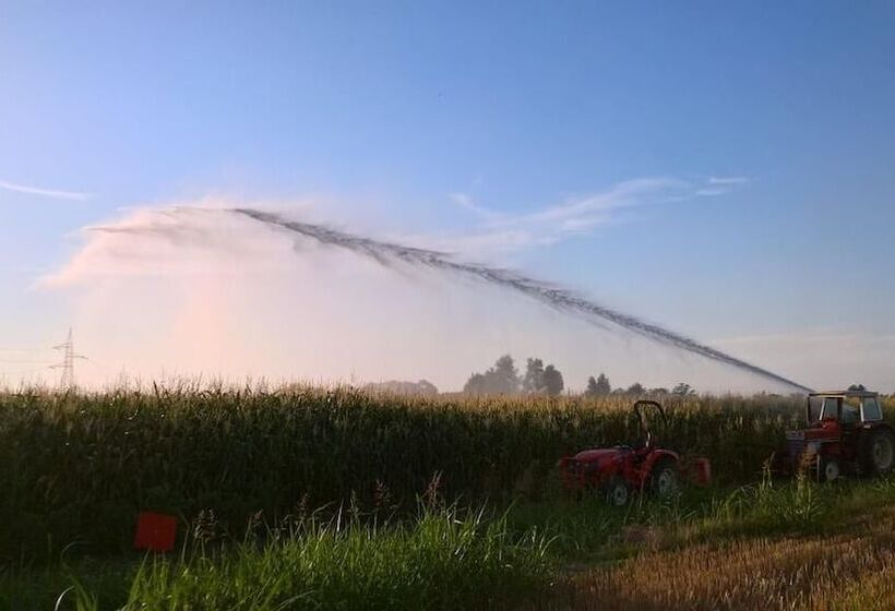 فندق ريفى Agriturismo Cipolli E Podò Corte Carlini