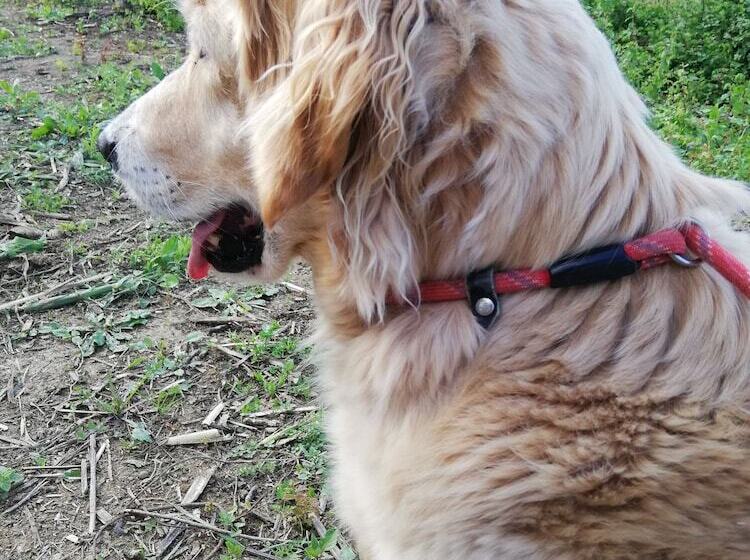 田舎風ホテル Agriturismo La Concia