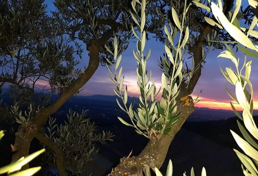 田舎風ホテル Borgo La Casetta