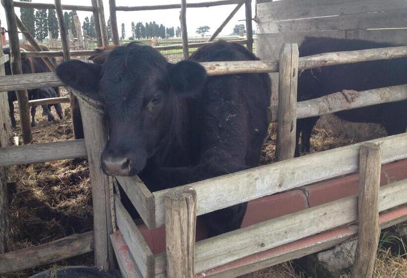 Hotel wiejski Podere Del Gesso