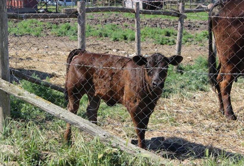 Сельский отель Podere Del Gesso