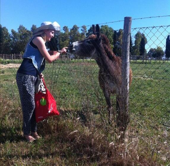 Сельский отель Podere Del Gesso