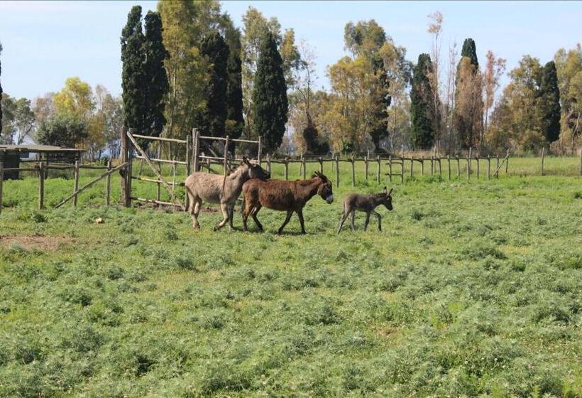 Сельский отель Podere Del Gesso