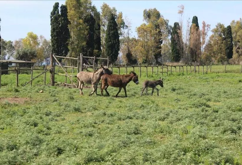 هتل روستایی Podere Del Gesso