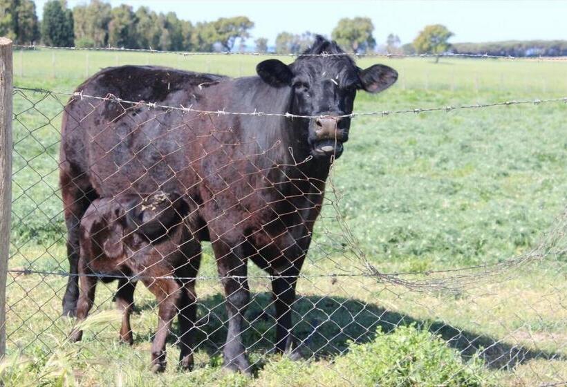 Сельский отель Podere Del Gesso