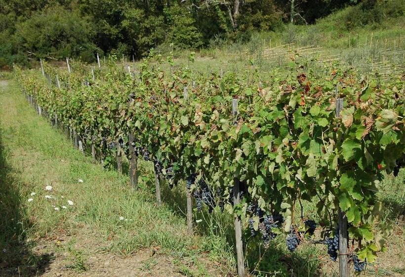 בית מלון כפרי Santa Pigna Country House