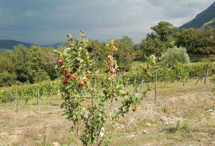 בית מלון כפרי Santa Pigna Country House