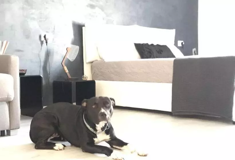 B&b Le Stanze Al Centro