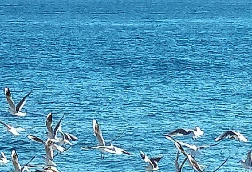 مبيت وإفطار Casale Degli Ulivi