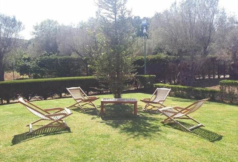 مبيت وإفطار Casale Degli Ulivi