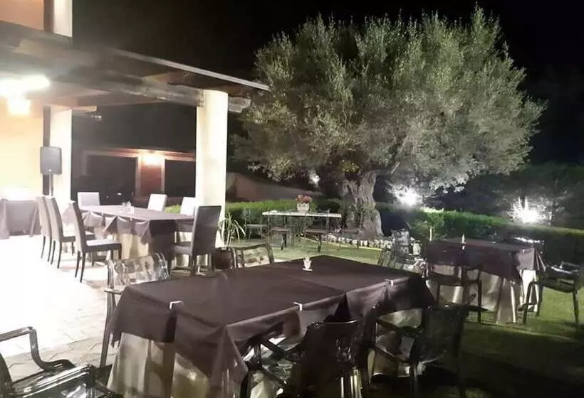 Aamiaismajoitus (B&B) Casale Degli Ulivi