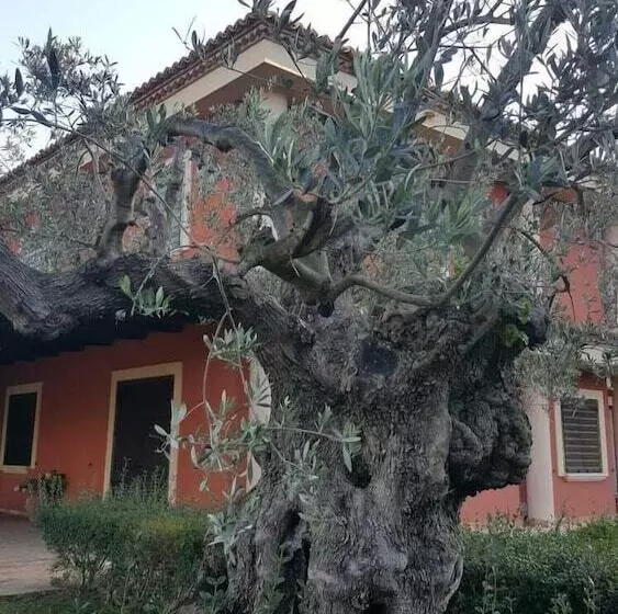 Aamiaismajoitus (B&B) Casale Degli Ulivi