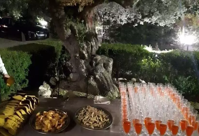 Aamiaismajoitus (B&B) Casale Degli Ulivi