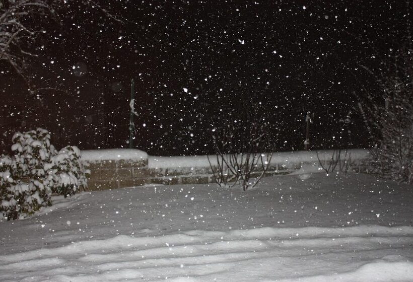 住宿加早餐 Il Frutteto