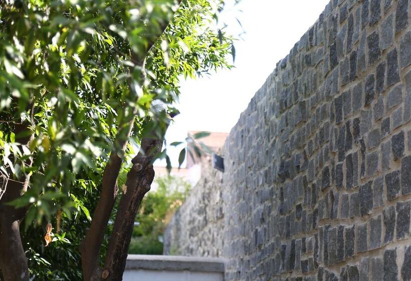 住宿加早餐 Palazzo Caracciolo Del Sole