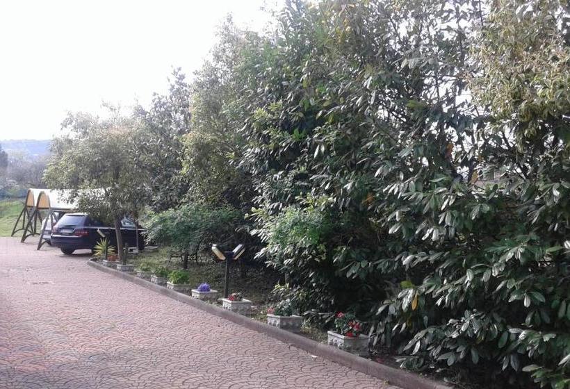 تختخواب و صبحانه Le Palme