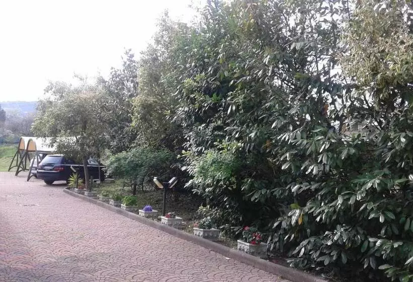 تختخواب و صبحانه Le Palme
