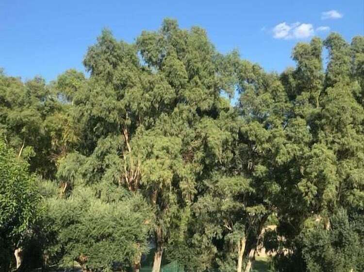 客栈 Tenuta Re Ferdinando