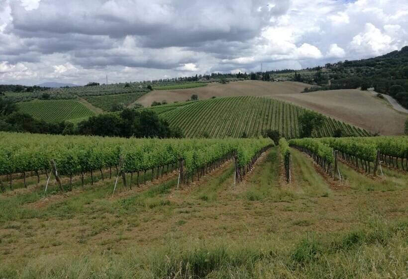 田舎風ホテル Agriturismo Podere La Cava
