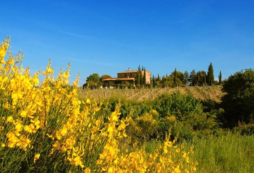 田舎風ホテル Tenuta Santagnese