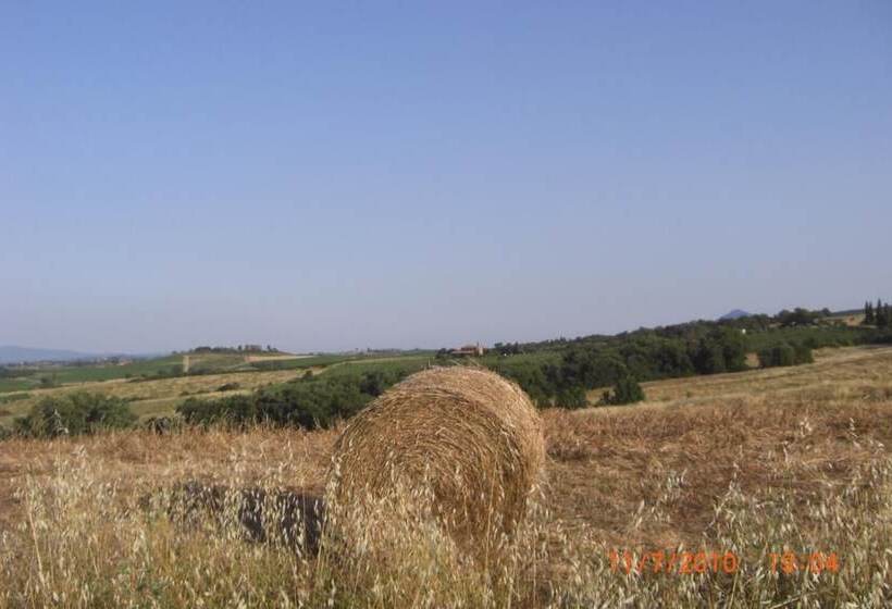 田舎風ホテル Tenuta Santagnese