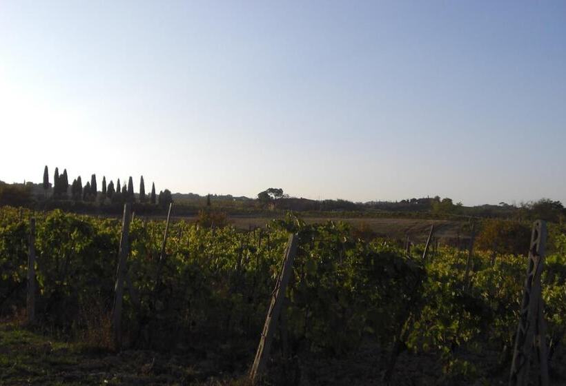 田舎風ホテル Tenuta Santagnese