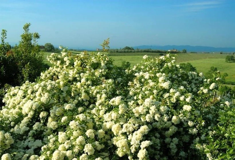 田舎風ホテル Tenuta Santagnese