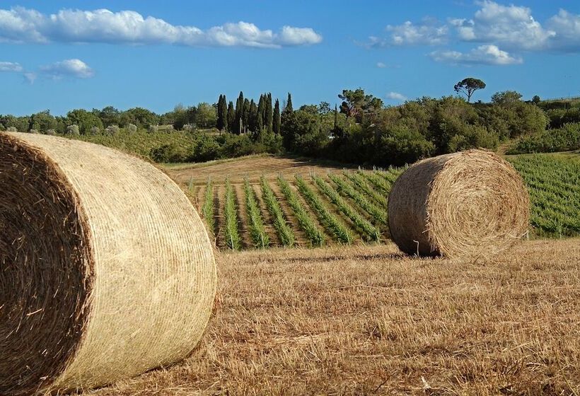 田舎風ホテル Tenuta Santagnese