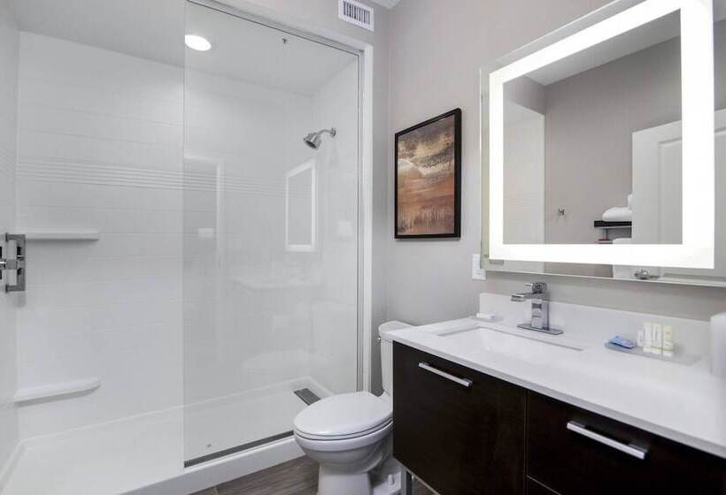 هتل Towneplace Suites By Marriott Houston Hobby Airport