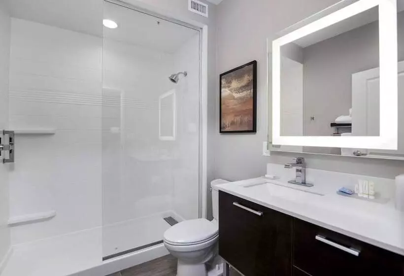 בית מלון כפרי Towneplace Suites By Marriott Houston Hobby Airport