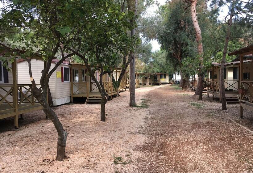 酒店 Victoria Mobilehome In Camping Stella Del Sud