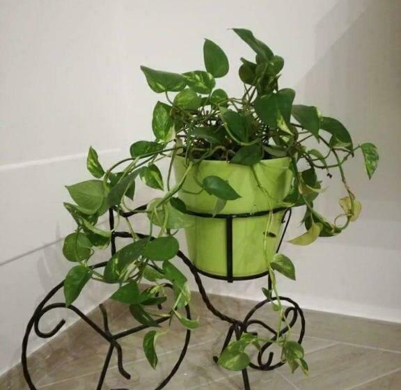 Bed and Breakfast La Pigna