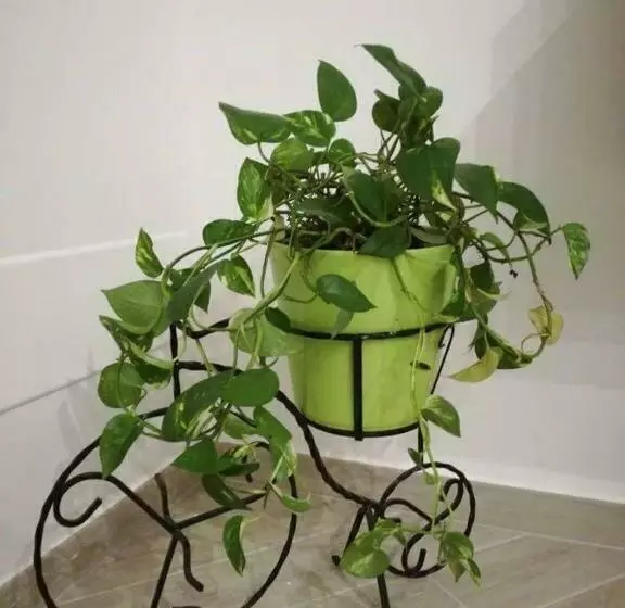 Aamiaismajoitus (B&B) La Pigna