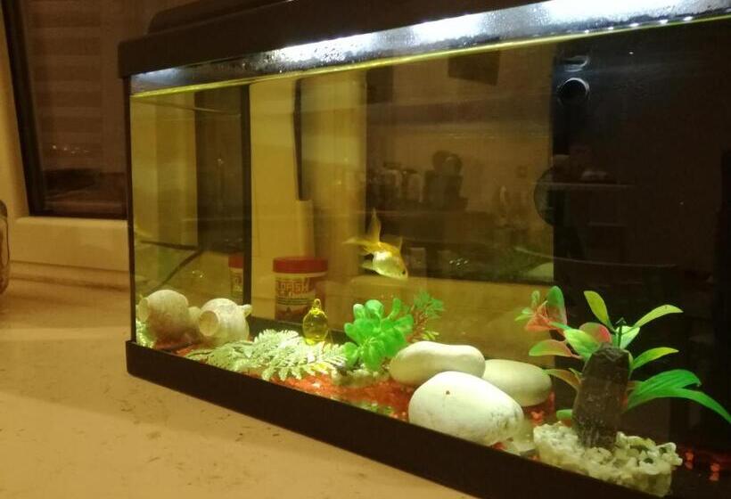 Bed and Breakfast La Pigna