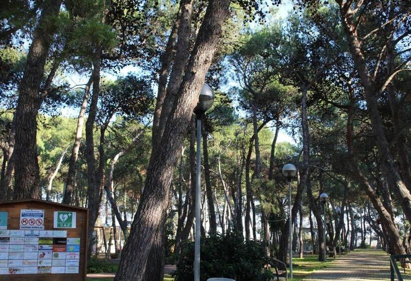 Bed and Breakfast La Pigna