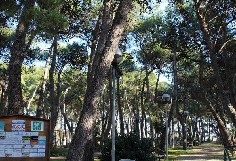 Aamiaismajoitus (B&B) La Pigna