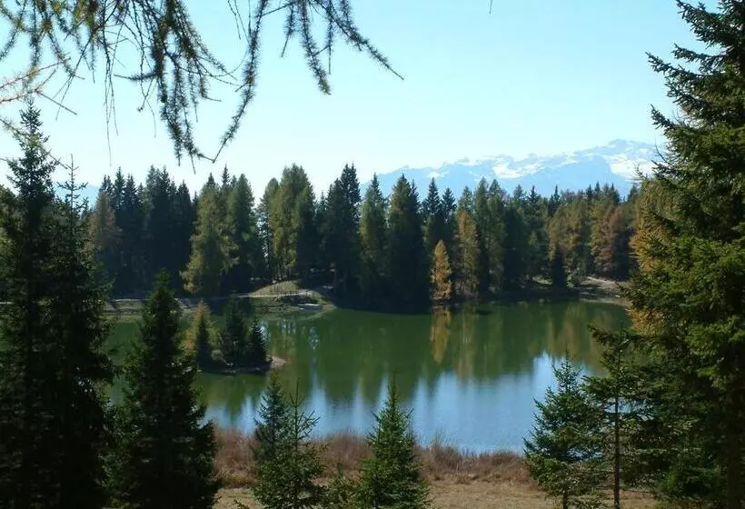 ベッドアンドブレックファースト Laugen Cafe Pizza Bb