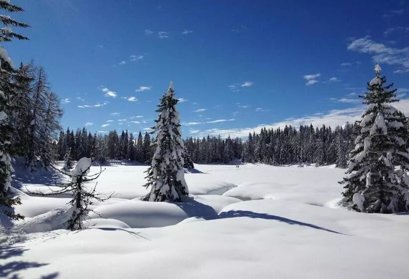 ベッドアンドブレックファースト Laugen Cafe Pizza Bb