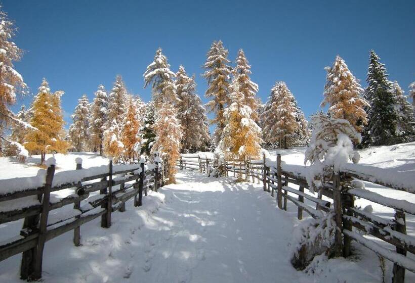 住宿加早餐 Laugen Cafe Pizza Bb