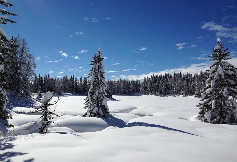 住宿加早餐 Laugen Cafe Pizza Bb