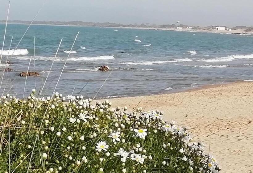 Bed and Breakfast Mattei Domus