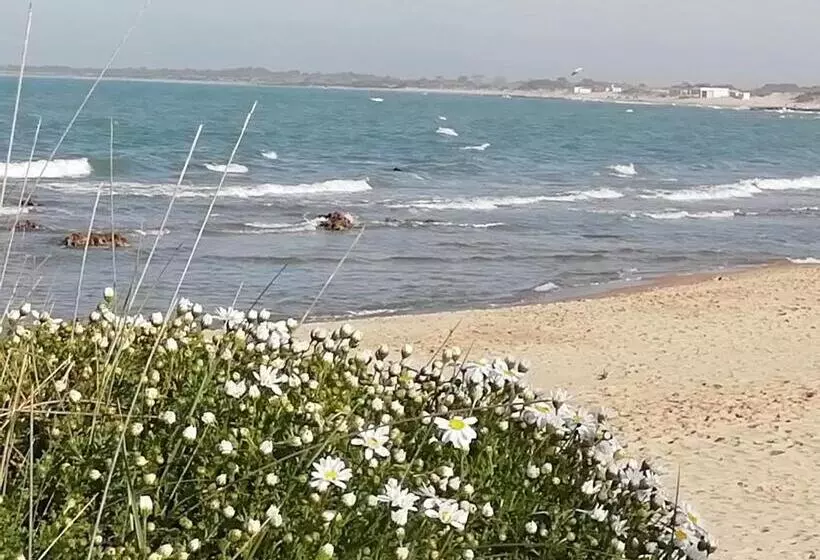 Aamiaismajoitus (B&B) Mattei Domus