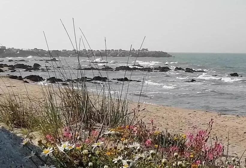 Aamiaismajoitus (B&B) Mattei Domus