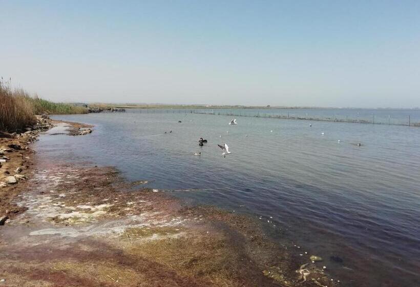 Bed and Breakfast Mattei Domus