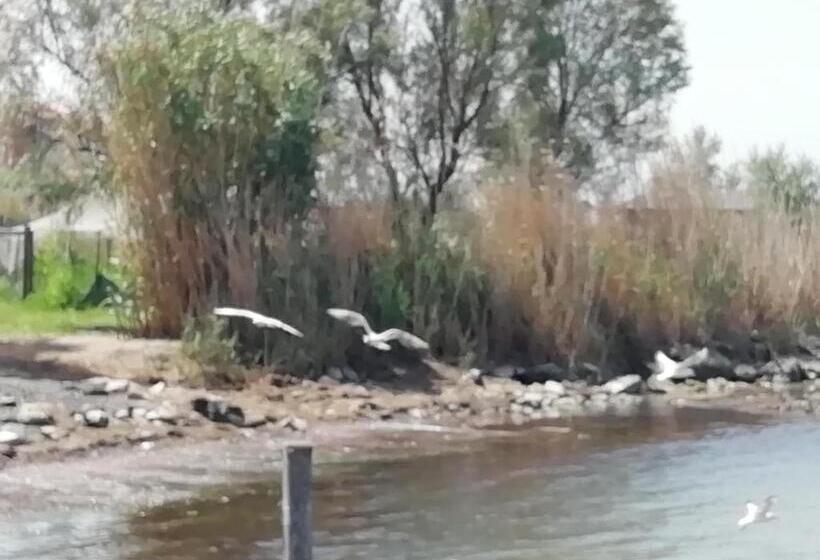 Bed and Breakfast Mattei Domus