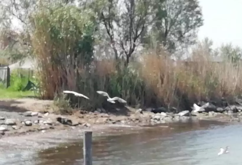 Aamiaismajoitus (B&B) Mattei Domus