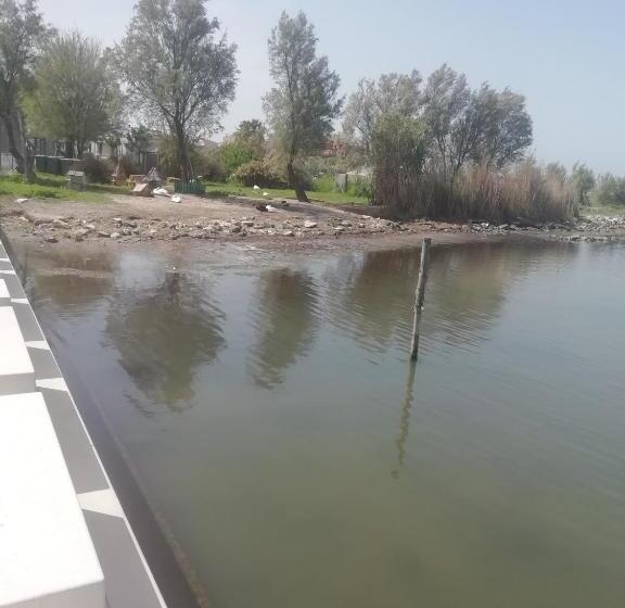 Bed and Breakfast Mattei Domus