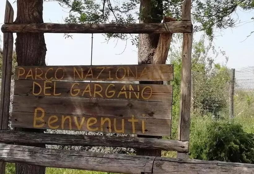 Aamiaismajoitus (B&B) Mattei Domus