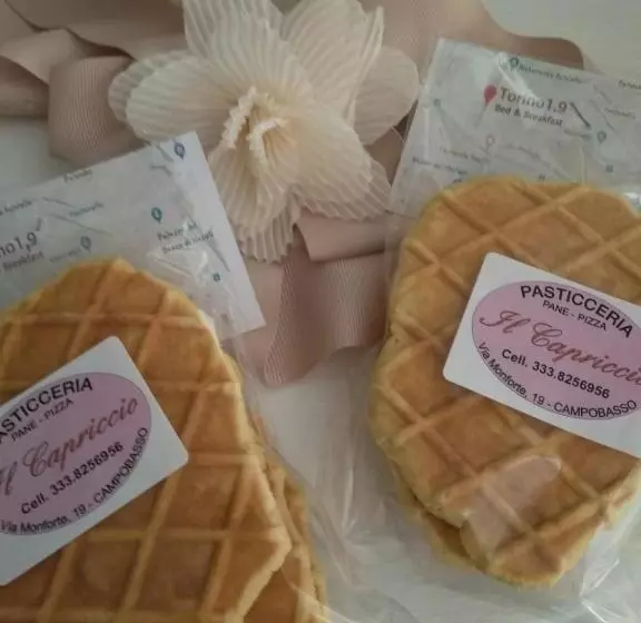 تختخواب و صبحانه Torino1.9