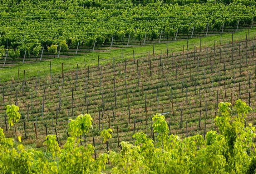 簡易ホテル Casa Munfrà